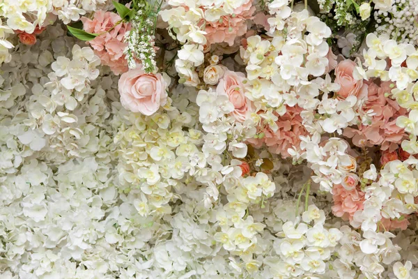 Güzel çiçek renkli arka plan