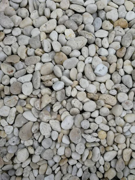 Pequeña Piedra Suelo —  Fotos de Stock