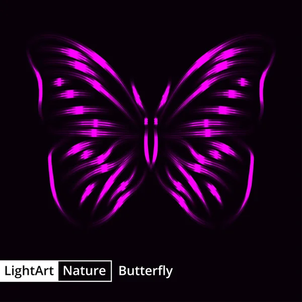Motýl Silueta Purpurová Světla Černém Pozadí — Stockový vektor