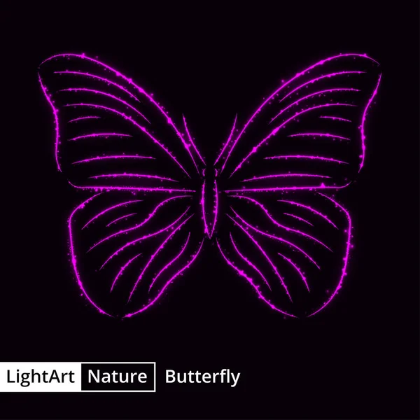 Silueta Fluture Lumini Magenta Fundal Negru — Vector de stoc