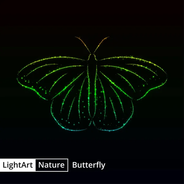 Motýl Silueta Přechodu Světla Černém Pozadí — Stockový vektor