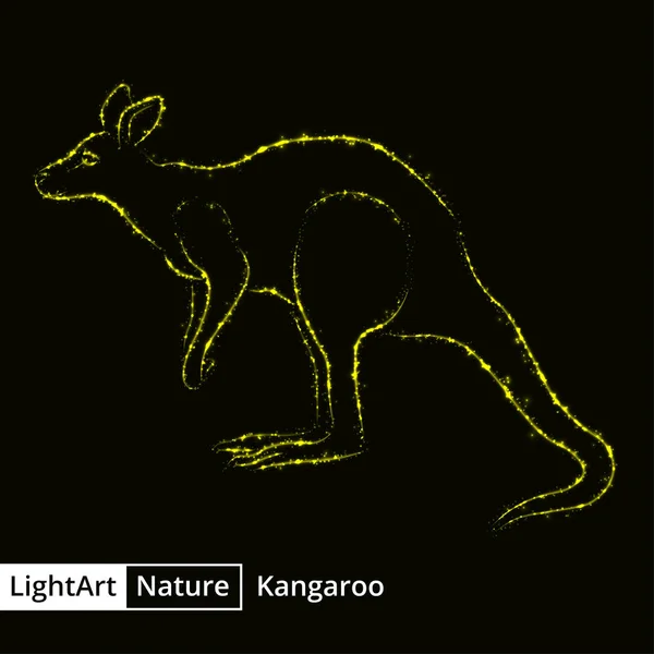 Känguru Silhouette von Lichtern auf schwarzem Hintergrund — Stockvektor