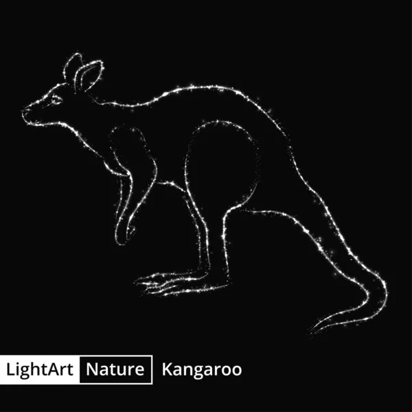 Känguru Silhouette Von Weißen Lichtern Auf Schwarzem Hintergrund — Stockvektor