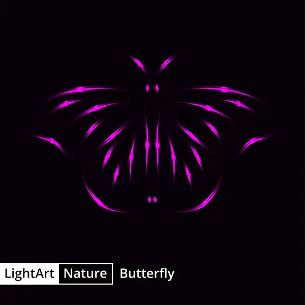 Silhueta Borboleta Luzes Magenta Sobre Fundo Preto — Fotografia de Stock Grátis