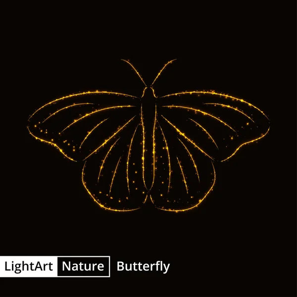 Motýl Silueta Zlata Světla Černém Pozadí — Stockový vektor