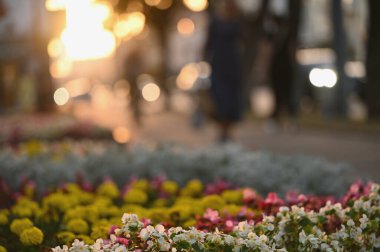Renkli çiçeklerin bulanık arkaplanı ve bokeh.