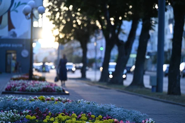Şehirdeki çiçeklerin bulanık arkaplanı