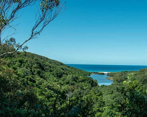 Hermosa Caminata Arbustiva Reserva Natural Laguna Que Conduce Playa Burwood — Foto de Stock