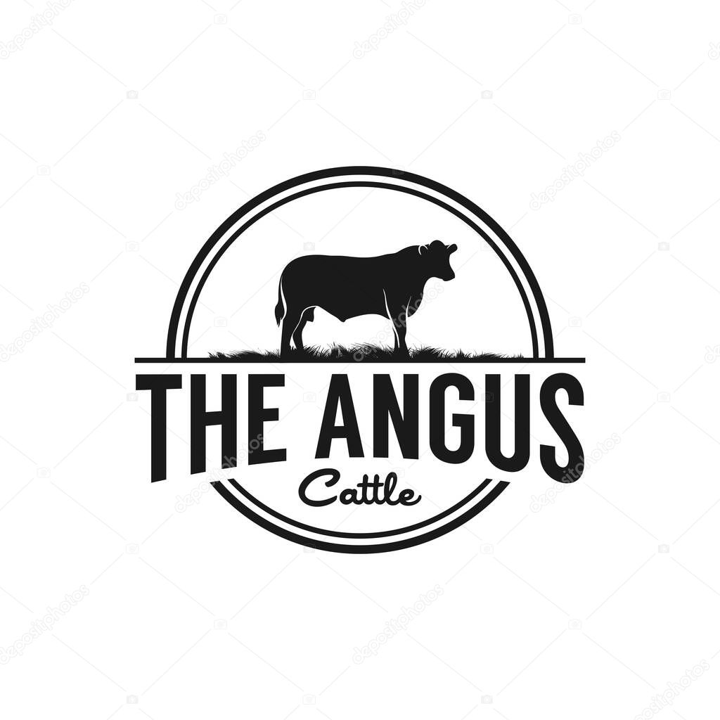 Black angus cattle logo emblem design template vector