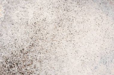 Arka plan, siyah ve beyaz kabarık küf dokusu. İlginç soyut arkaplan, siyah ve beyaz renkli doku.