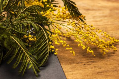 Ahşap zemin üzerinde kitap ile mimoza çiçekleri