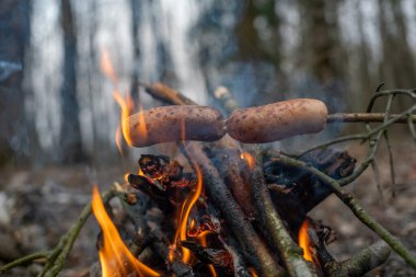 Çubukta sosisler ateşte kızarır Ormanda yakın