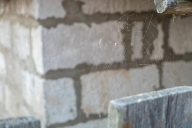 Duvarın arkasında örümcek ağı var. Arkaplan olarak kullanılabilir.