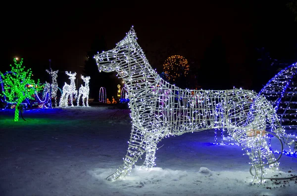 Noel Ağacı Işıklar Köpeği Yeni Yıl Noel — Stok fotoğraf