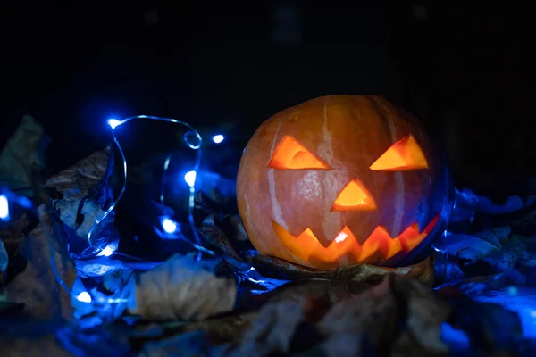 Ragyogó Tök Sötétben Kék Fényekkel Őszi Levelekkel Gyönyörű Halloween Háttér — Stock Fotó