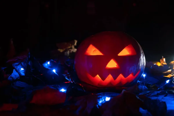 Ragyogó Tök Sötétben Kék Fényekkel Őszi Levelekkel Gyönyörű Halloween Háttér — Stock Fotó