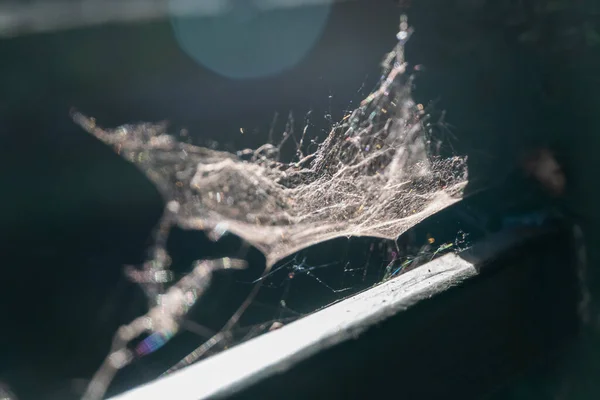 Close Van Spinnenwebben Spinnenwebben Met Een Achtergrond Van Zonlicht — Stockfoto