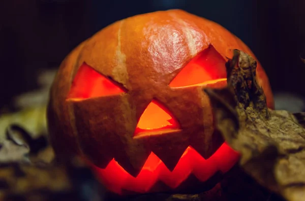 Calabaza Brillante Primer Plano Oscuro Concepto Halloween Fondo —  Fotos de Stock