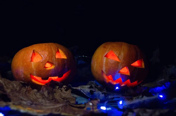 Děsivé Dvě Zářící Dýně Tmě Modrým Podsvícením Zblízka Koncepce Halloween — Stock fotografie