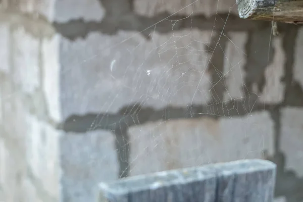 Cobweb Bakstenen Muur Achtergrond Kan Gebruikt Worden Als Achtergrond — Stockfoto