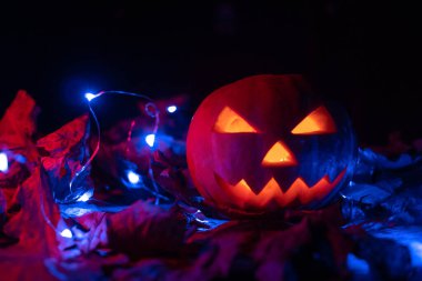 Karanlıkta parlayan balkabağı mavi ışıklar ve sonbahar yapraklarıyla. Güzel Cadılar Bayramı arkaplanı, kopyalama alanı.