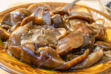 Kil kasede turşulu mantar yakın çekim.