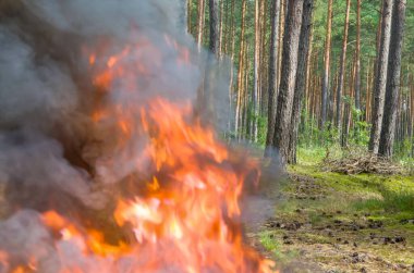 Kara dumanlı şenlik ateşi, yanan lastik dumanı ve ormanda kablolar.