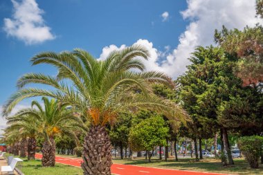 Parlak renkli şehir manzarası, spallar, bisikletçiler için kırmızı yol, Batumi, Adjara, Georgia gezinti alanında çekilen
