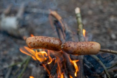 Çubukta sosisler ateşte kızarır Ormanda yakın