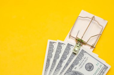 Sarı arka planda yakın plan bir fare kapanında dolar. Rüşvet kavramı