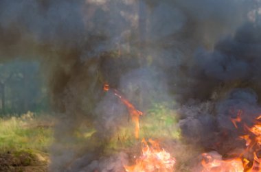 Kara dumanlı şenlik ateşi, yanan lastik dumanı ve ormanda kablolar.