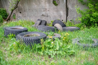 Çimlerin arasında duran eski araba lastikleri. Çevre kirliliği.