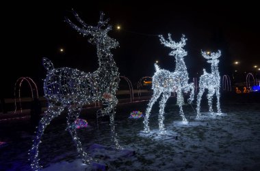 Noel ren geyiği şekilli ışıklar; Yeni yıl, Noel