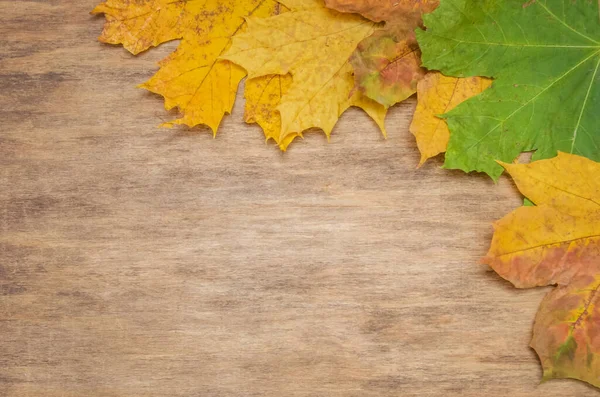 Herbst Hintergrund Der Herbstblätter Auf Dem Holzbrett Draufsicht — Stockfoto