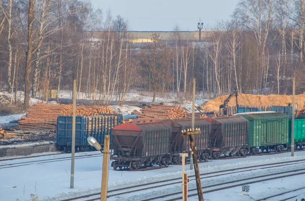 Industriell Bakgrund Lastning Järnvägsvagnar Järnväg Lastterminal Kranar Träd För Export — Stockfoto