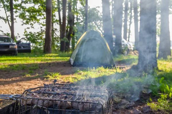 Grillfamilie Konzept Der Freizeitgestaltung Freien Durch Die Familie Auf Einem — Stockfoto