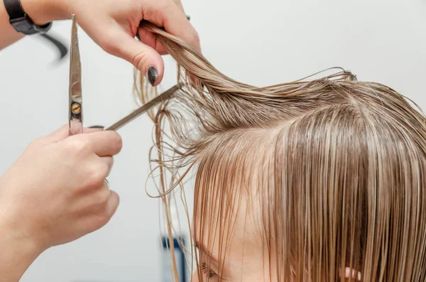 Hairdresser Cutting Blond Hair Hair Salon Trimming Processes Hair Salon — Stock Photo, Image