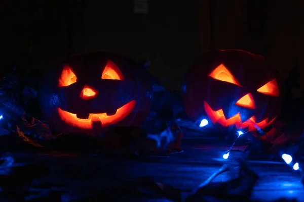 Ijesztő Két Izzó Tök Sötétben Kék Háttérvilágítással Halloweeni Háttér Fogalma — Stock Fotó