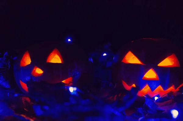 Karanlıkta Parlayan Iki Korkutucu Balkabağı Yakın Plan Mavi Işık Cadılar — Stok fotoğraf