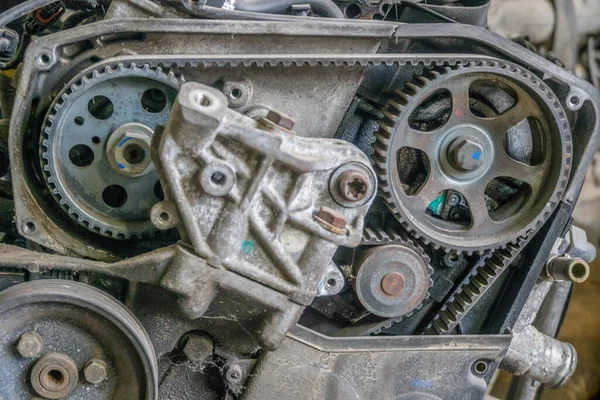 Timing chain on a gears from a car engine.