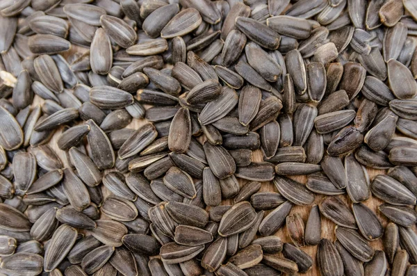 Black Sunflower Seeds Texture Background — Stock Photo, Image