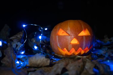 Karanlıkta parlayan balkabağı mavi ışıklar ve sonbahar yapraklarıyla. Güzel Cadılar Bayramı arkaplanı, kopyalama alanı.