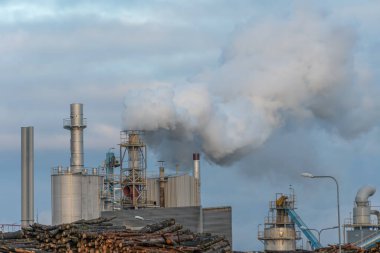 Ahşap işleme tesisi, borulardan çıkan yoğun duman gri-mavi gökyüzüne karşı. Çevre kirliliği.