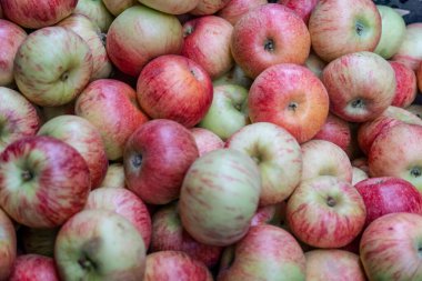 Doku arka planı olarak bir sürü kırmızı yeşil elma