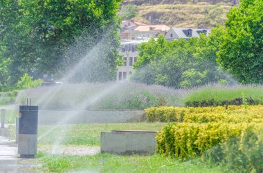 Çim püskürtücü, güneşli bir yaz gününde yeşil çimlerin ve çalıların üzerine su püskürtür, Tiflis.