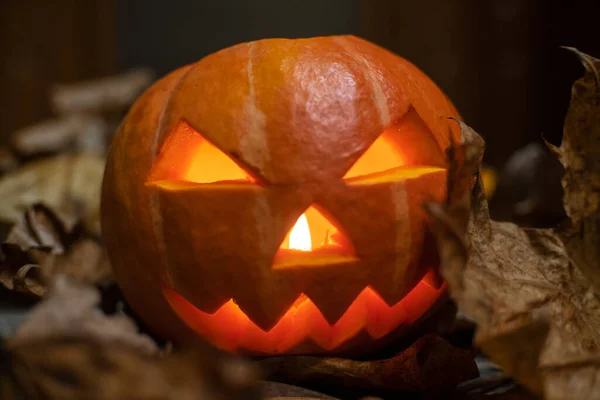 Calabaza Brillante Primer Plano Oscuro Concepto Halloween Fondo —  Fotos de Stock