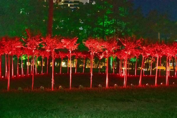Copacii Sunt Evidențiați Roșu Batumi Parc Noaptea — Fotografie, imagine de stoc
