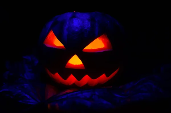 Calabaza Brillante Con Una Vela Interior Cerca Follaje Con Iluminación —  Fotos de Stock