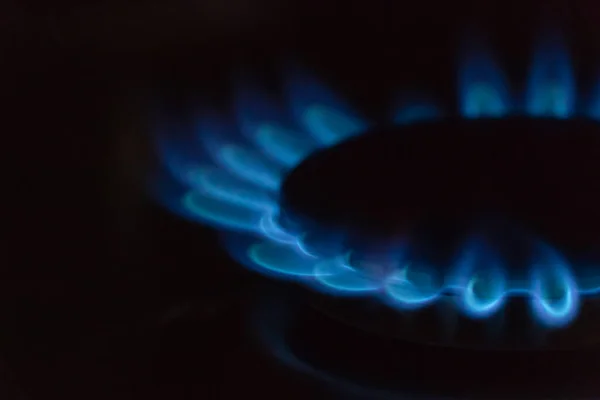 Blue flame of burning gas on a gas stove macro, copy spase