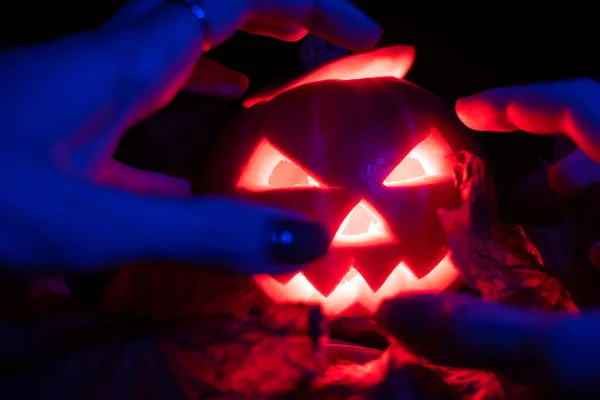 Mani Blu Delle Donne Con Unghie Dipinte Raggiungono Una Zucca — Foto Stock